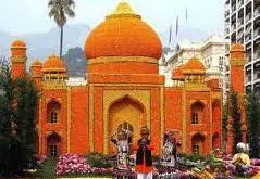Orange festival - Tajmahal